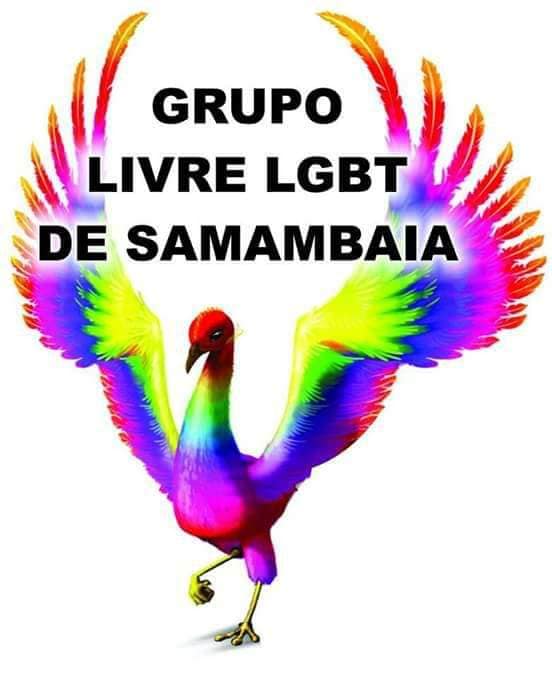 grupo livre lgbt de samambaia